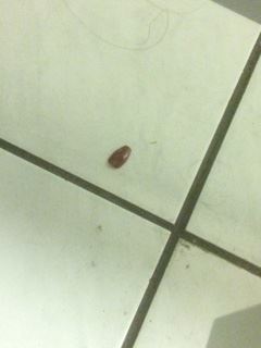 14643209_10154608289903524_586609585_n