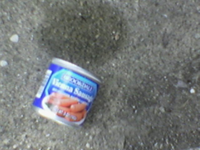 foundviennasausagecan2