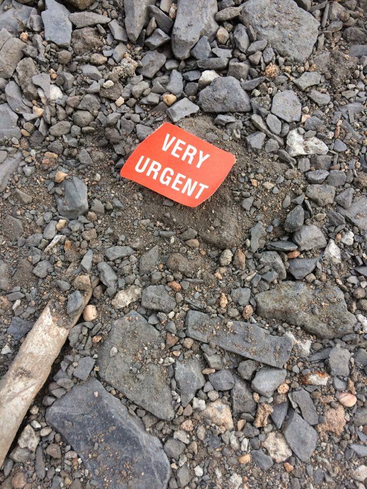 18624719_10155325737228524_674287756_n