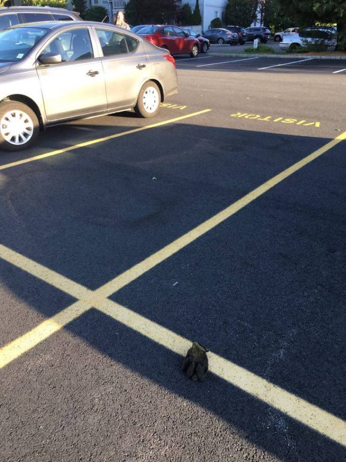 18928179_10209588264799251_414582723_n