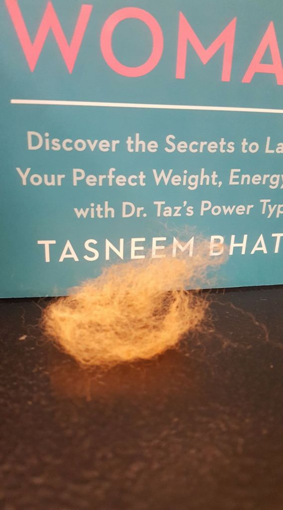 22859738_10155716206516291_2600852460301922008_o