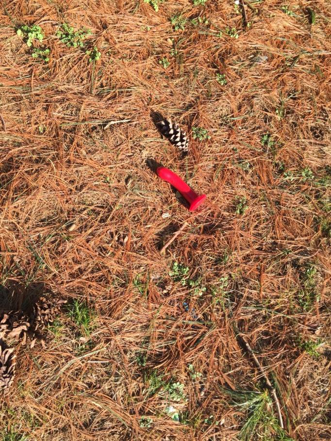 30125500_10211774139484752_1795769022_o