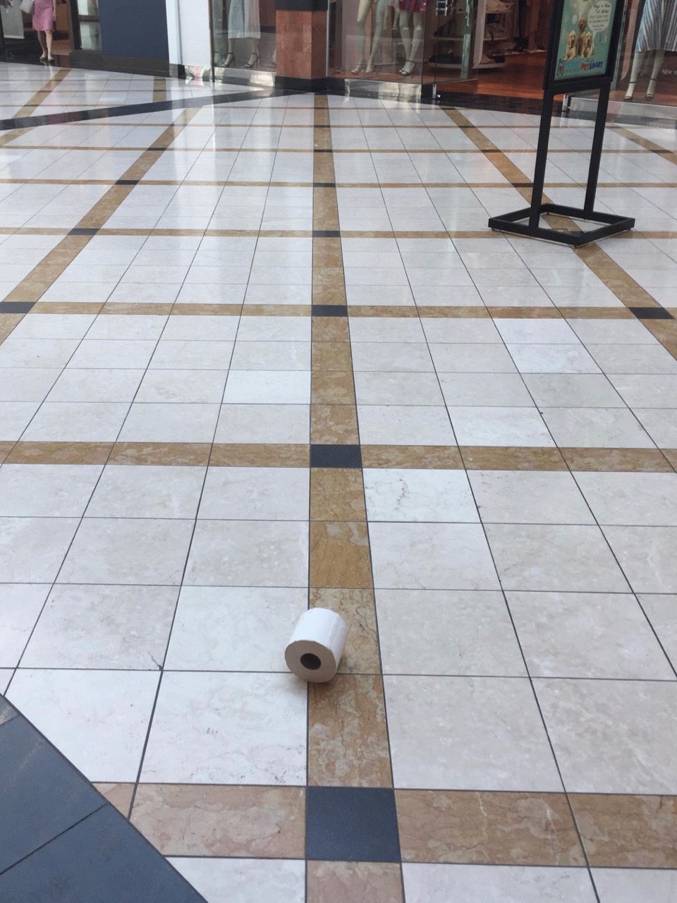 32185616_10216714222398115_8678123413186805760_n (1)