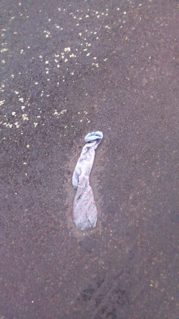 3d0681f8-cc54-4f1d-8f1f-1796661693fc