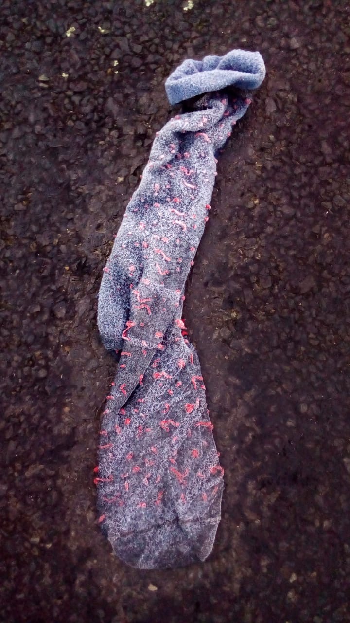 eb35b9cf-dfb3-4a1e-9d7b-b297521d58ce