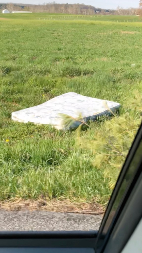 Frame-04-06-2018-12-41-08