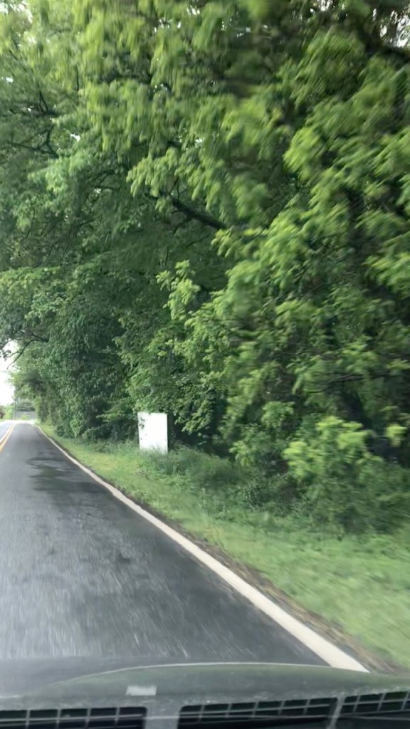 Frame-17-05-2018-07-17-27